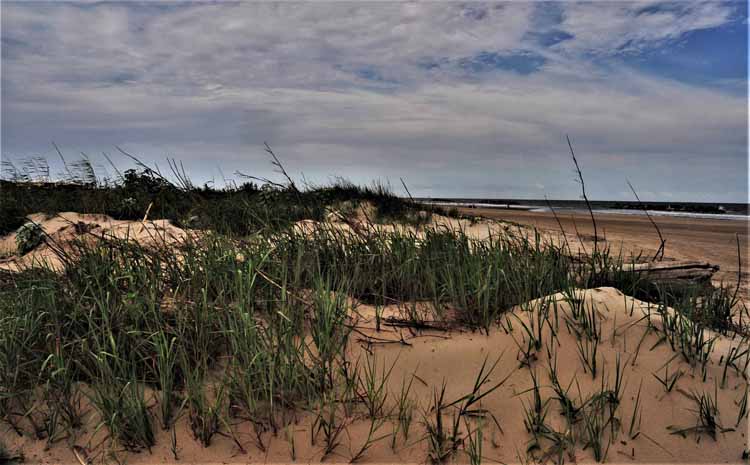 sand dunes grand isle
